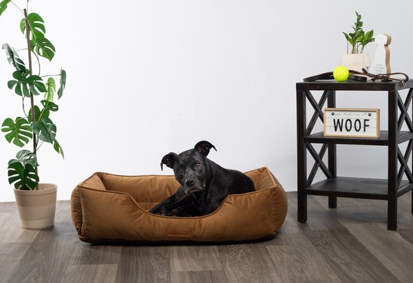 Show full view: MODERN THREADS Luxury Tufted Velvet Cuddler Dog & Cat Bed with Removable Cover, Caramel, 34 x 25 x 9-in slide 1 of 8