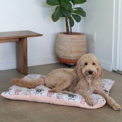 Wag and Wiggle Dog Crate Mat, Pink, 38-in