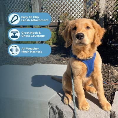 Show full view: Best Pet Supplies Voyager Step-in Air Dog Harness, Royal Blue, Large slide 5 of 10