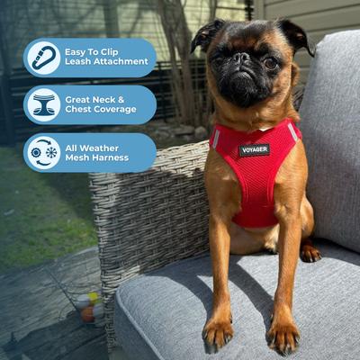 Show full view: Best Pet Supplies Voyager Step-in Air Dog Harness, Red, XX-Small slide 5 of 10
