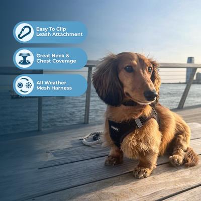 Show full view: Best Pet Supplies Voyager Step-in Air Dog Harness, Black, Large slide 5 of 11