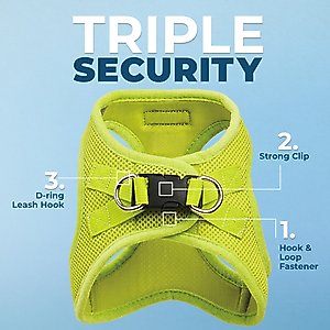 Best Pet Supplies Voyager Step-in Air Dog Harness, Lime Green, Small