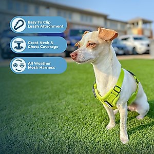 Best Pet Supplies Voyager Step-in Air Dog Harness, Lime Green, Small