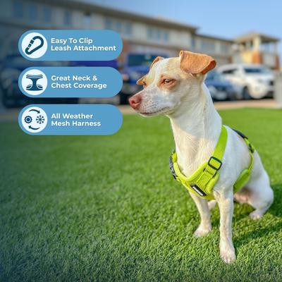 Show full view: Best Pet Supplies Voyager Step-in Air Dog Harness, Lime Green, Small slide 5 of 11