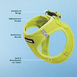 Best Pet Supplies Voyager Step-in Air Dog Harness, Lime Green, Small