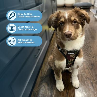 Show full view: Best Pet Supplies Voyager Step-in Air Dog Harness, Army Base, XX-Small slide 6 of 12