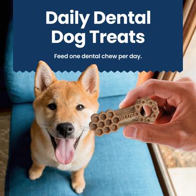 Show full view: Blue Buffalo Large Natural Chicken & Spearmint Dental Dog Chews Treats, 21 count slide 8 of 12
