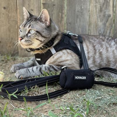 Show full view: Best Pet Supplies Voyager Step-in Air Dog Harness, Black, Large slide 9 of 11