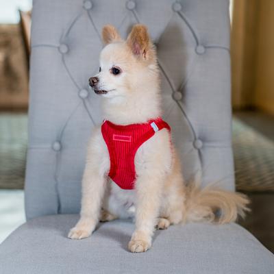 Show full view: Best Pet Supplies Voyager Step-in Padded Dog Harness, Red, X-Large slide 8 of 9