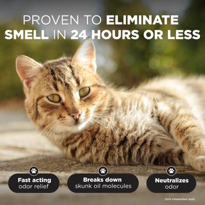 Show full view: TropiClean Skunk Odor Control Dog & Cat Shampoo, 20-fl oz bottle slide 4 of 10