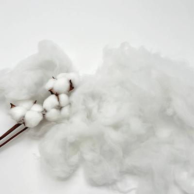 Show full view: Dolly Pet Petal Haven Dog Bed with Removable Cover, Pink/Green, Medium slide 5 of 5