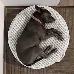 Dolly Pet Petal Haven Dog Bed with Removable Cover, Pink/Green, Medium
