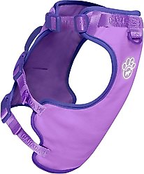 Canada Pooch Cooling 2.0 Dog Harness, Purple, Medium: 18 to 25-in chest slide 2 of 4