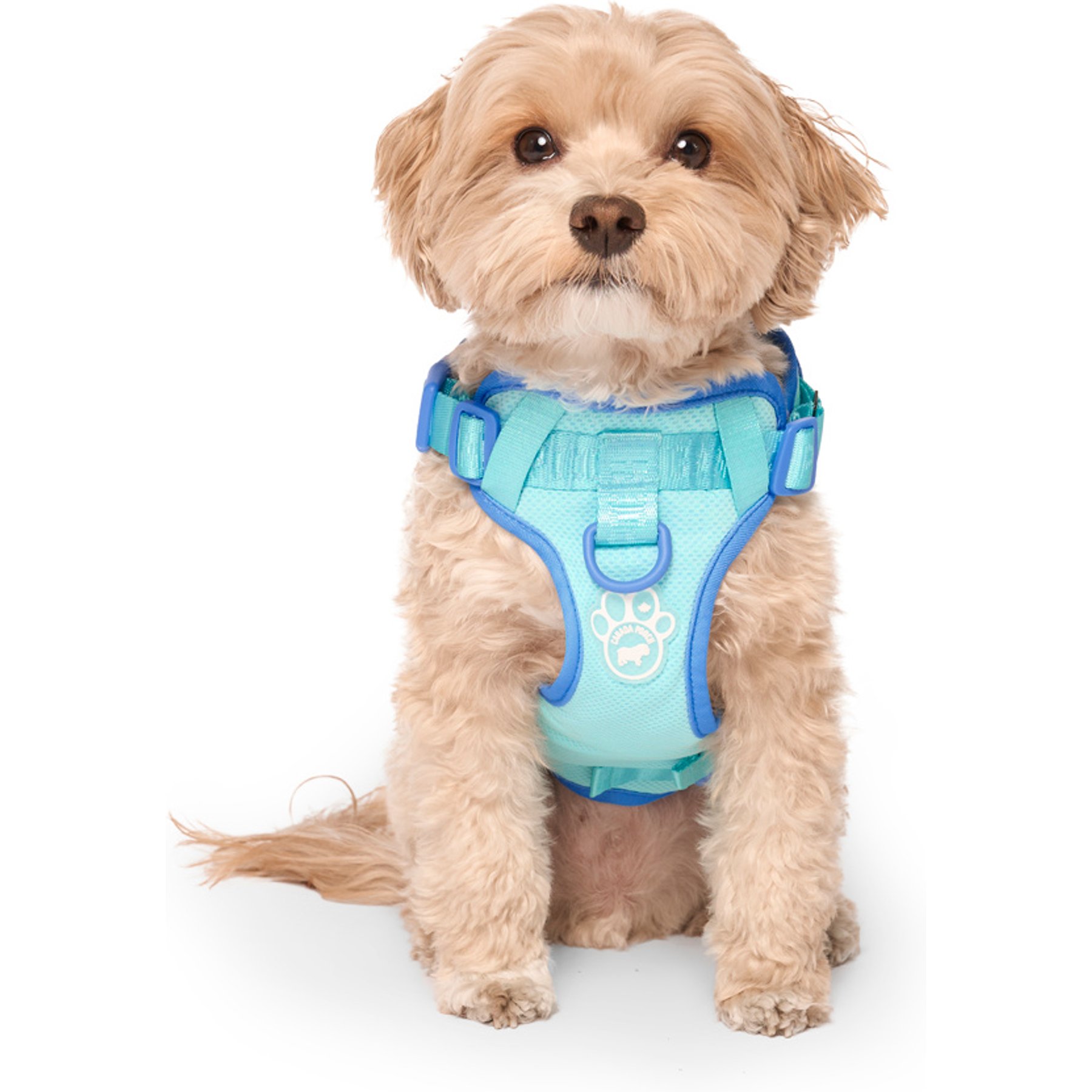Canada Pooch Cooling 2.0 Pull-On Dog Harness, Blue, XX-Large: 28 to 41 inches