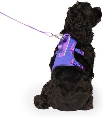 Show full view: Canada Pooch Cooling 2.0 Dog Harness, Purple, Medium: 18 to 25-in chest slide 2 of 4