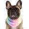 Show in main carousel: Canada Pooch Cooling Dog Bandana, Rainbow, Medium slide 2 of 4