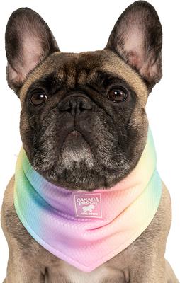 Show full view: Canada Pooch Cooling Dog Bandana, Rainbow, Medium slide 2 of 4