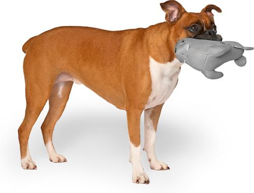 Show full view: Canada Pooch Chill Seeker Cooling Pal Grey Walrus Dog Toy slide 2 of 3