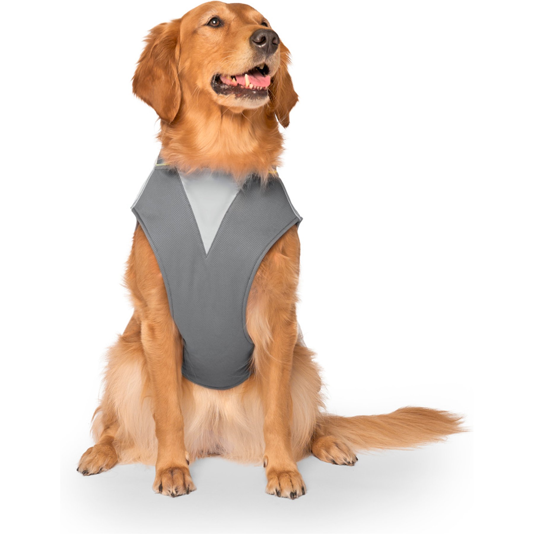 Canada Pooch Cooling 2.0 Dog Vest, Grey, Small/Medium