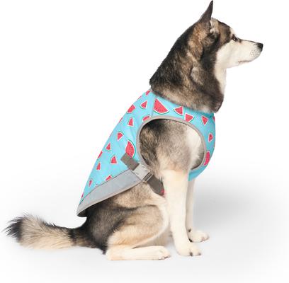 Show full view: Canada Pooch Cooling Dog Vest, Watermelon, 12 slide 2 of 5