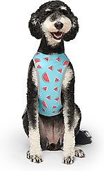 Canada Pooch Cooling Dog Vest, Watermelon, 12