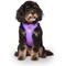 Show in main carousel: Canada Pooch Cooling 2.0 Dog Harness, Purple, Medium: 18 to 25-in chest slide 3 of 4