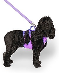 Canada Pooch Cooling 2.0 Pull-On Dog Harness, Purple, Small: 15 to 19 inches