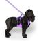 Show in main carousel: Canada Pooch Cooling 2.0 Dog Harness, Purple, Medium: 18 to 25-in chest slide 1 of 4
