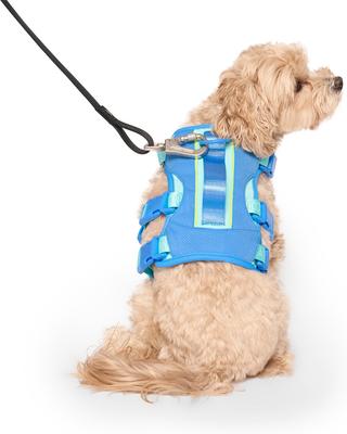 Show full view: Canada Pooch Cooling 2.0 Pull-On Dog Harness, Blue, Medium: 18 to 25 inches slide 3 of 6