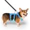 Show in main carousel: Canada Pooch Cooling 2.0 Pull-On Dog Harness, Blue, Medium: 18 to 25 inches slide 2 of 6