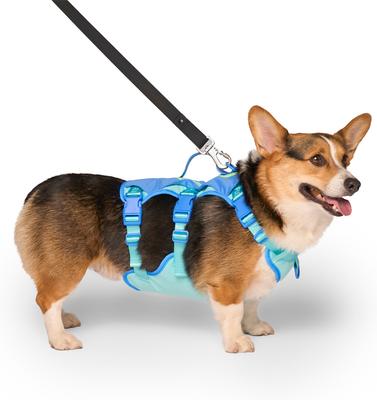 Show full view: Canada Pooch Cooling 2.0 Pull-On Dog Harness, Blue, Medium: 18 to 25 inches slide 2 of 6