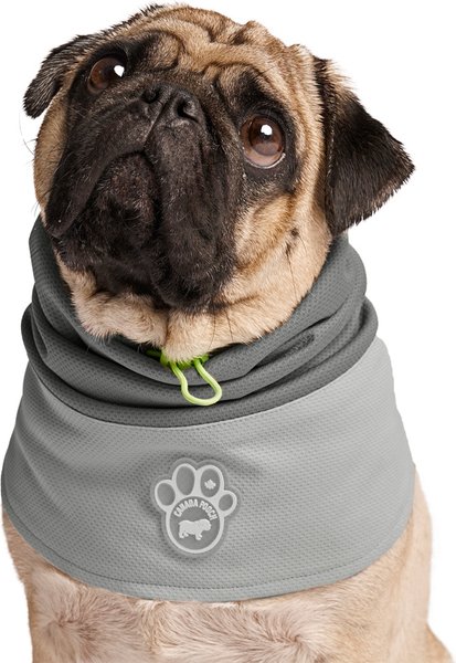 Canada Pooch Cooling 2.0 Dog Snood, Grey