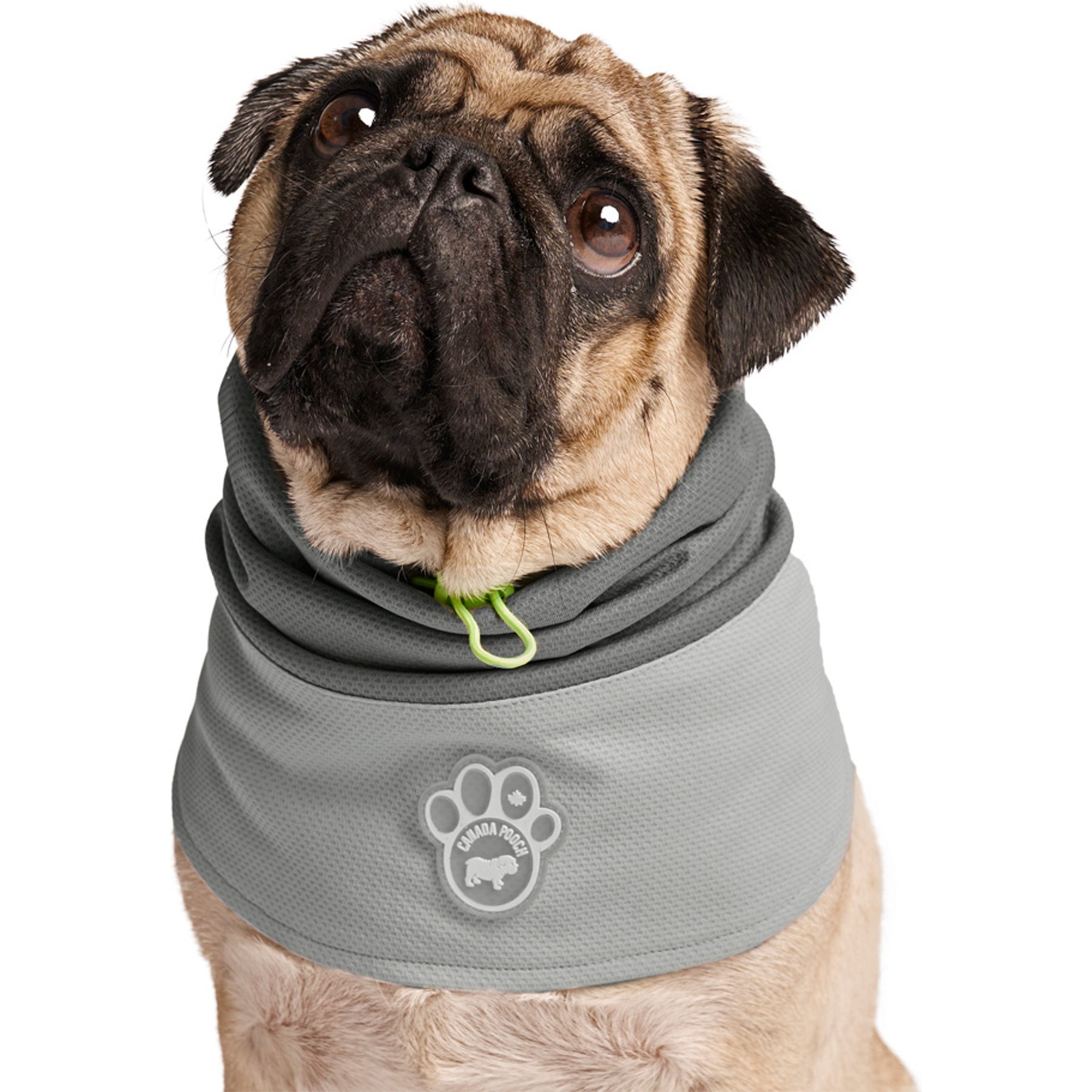 Canada Pooch Cooling 2.0 Dog Snood, Grey, Medium
