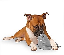 Canada Pooch Chill Seeker Cooling Pal Grey Walrus Dog Toy