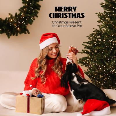 Show full view: Nocciola Christmas Squeaky Plush Toys, 3 count slide 6 of 6