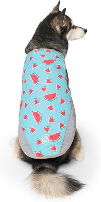 Show full view: Canada Pooch Cooling Dog Vest, Watermelon, 12 slide 3 of 5