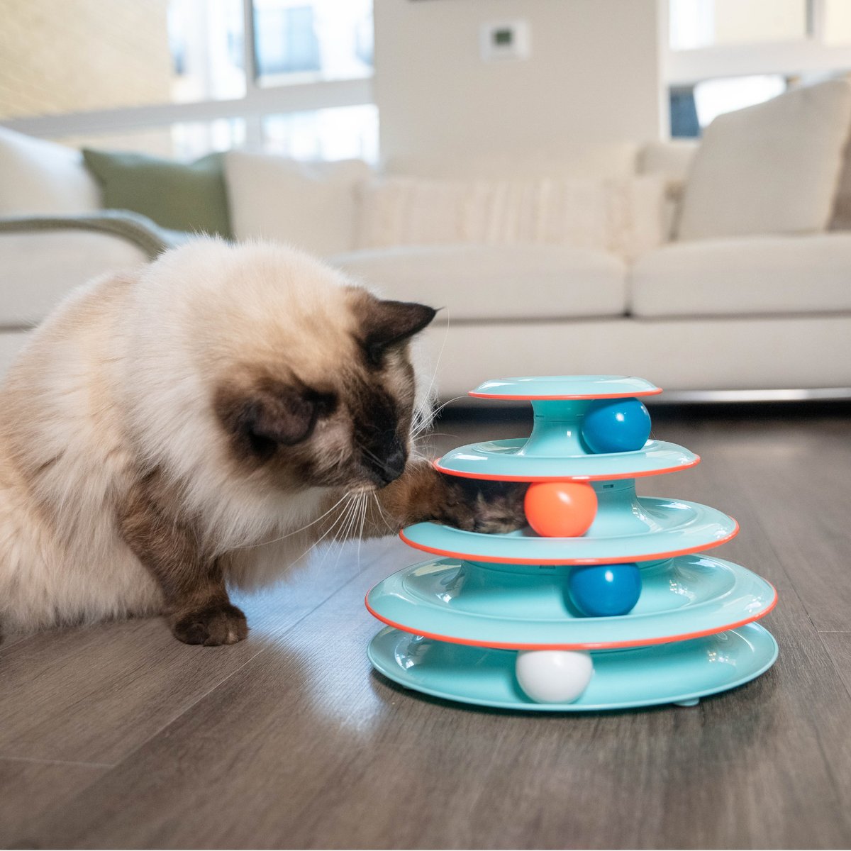 Catstages Chase Meowtain Track Cat Toy