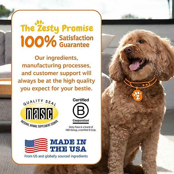 Zesty Paws Allergy & Immune Bites Salmon Flavored Soft Chews Allergies, Immune, & Gut Support Supplement for Dogs