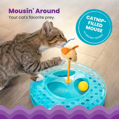 Show full view: Catstages Cheese Chase II Cat Toy with Catnip slide 3 of 12