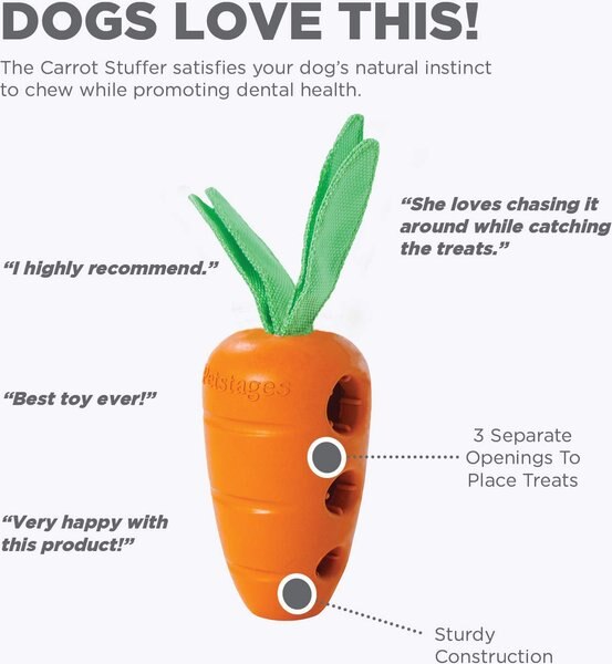 Spunky Pup The Carrot Treat Dispenser Dog Toy