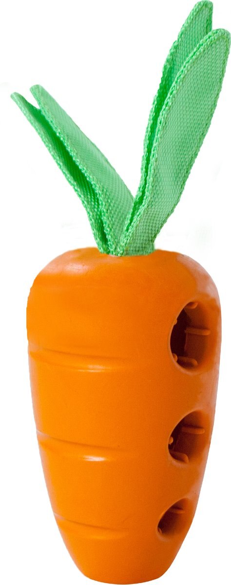 Petstages Carrot Stuffer Treat Dispenser Dog Toy.