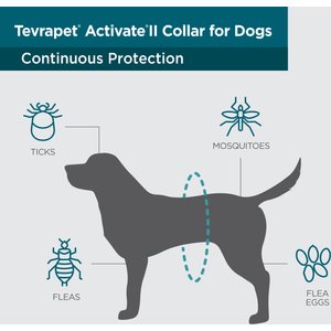 TevraPet Activate II Flea & Tick Collar for Small Dogs, 2 Collars (12-mos. supply)