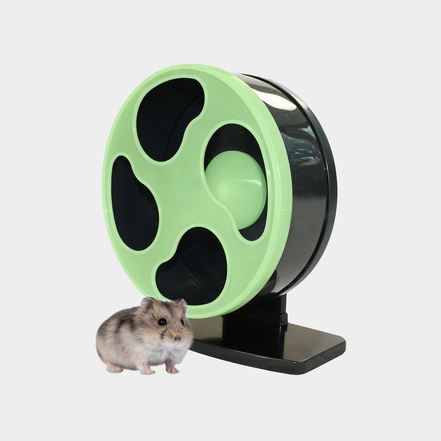 Hamster Supplies & Accessories | Chewy