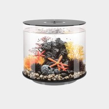 Acrylic Aquariums