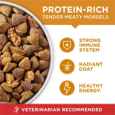Show full view: Purina ONE Natural Adult Chicken & Rice Formula Dry Dog Food, 40-lb bag slide 4 of 11