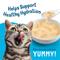 Show in main carousel: Friskies All-Star Favorites Variety Pack Lickable Gravy Cat Food Complement, case of 8 slide 8 of 12