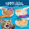 Show in main carousel: Friskies All-Star Favorites Variety Pack Lickable Gravy Cat Food Complement, case of 8 slide 4 of 12