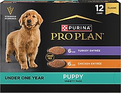 Purina Pro Plan Development Variety Pack Puppy Grain-Free Chicken Entree & Turkey Entree Wet Dog Food, 13-oz can, case of 12
