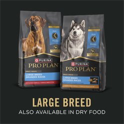 Purina Pro Plan Specialized Variety Pack Adult Large Breed High Protein Chicken & Rice, Beef & Rice in Gravy Wet Dog Food, 13-oz can, case of 12 slide 2 of 9