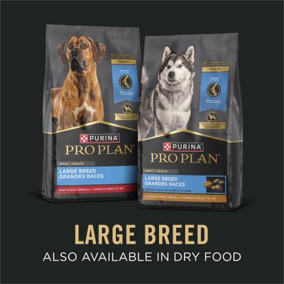 Show full view: Purina Pro Plan Specialized Variety Pack Adult Large Breed High Protein Chicken & Rice, Beef & Rice in Gravy Wet Dog Food, 13-oz can, case of 12 slide 10 of 12